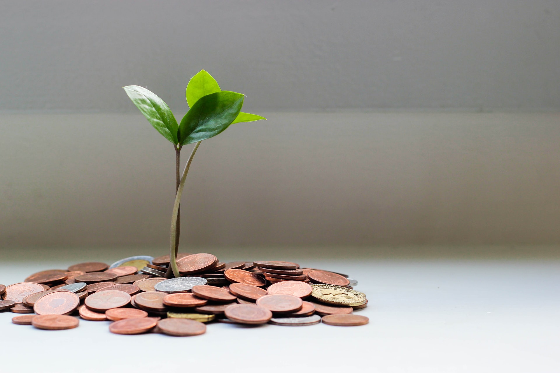 Fundraising per Startup: Guida al Primo Round Seed