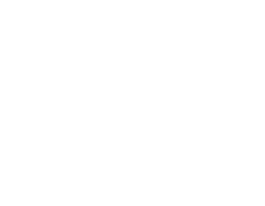 startcup-300x233-1.webp